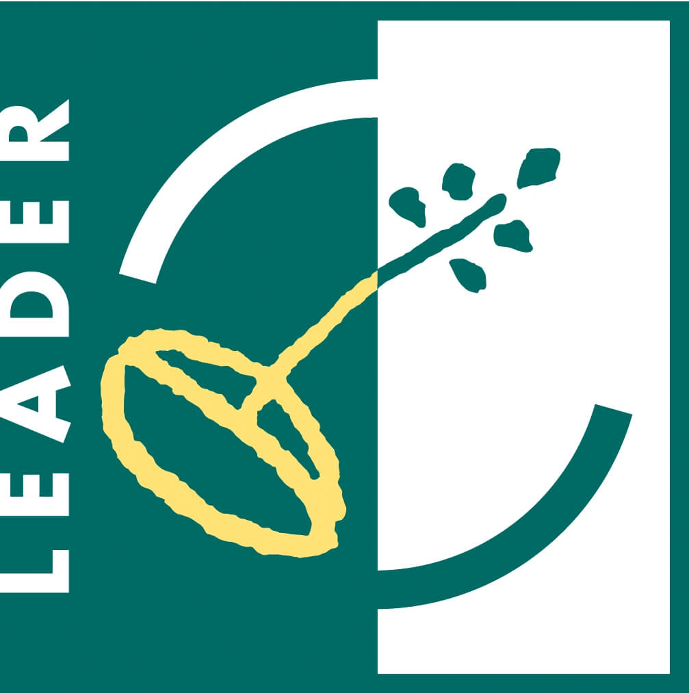 LEADER logo